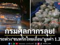 กรมศุลกากรลุย! สกัดรถพ่วงขนพริกไทยเถื่อน 3 ตัน-มูลค่า 1.2 ล้านบาท