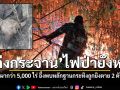 แก่งกระจานไฟป่ายังหนัก ลุกลามเผากว่า 5,000 ไร่ อึ้งพบหลักฐานกระทิงถูกยิงตาย 2 ตัว