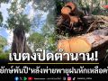 ปิดตำนาน ‘ไทรยักษ์พันปี’ อุโมงค์ปิยะมิตรเบตง-พ่ายพายุฝนหักโค่นเหลืองครึ่งต้น