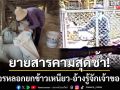 ยายสารคามสุดช้ำ! ถูกโจรหลอกยกข้าวเหนียวหนีคามือ-อ้างรู้จักเจ้าของข้าว