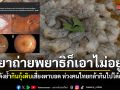 ยาถ่ายพยาธิก็เอาไม่อยู่! เพจดังย้ำชัด กินกุ้งดิบเสี่ยงตาบอด ห่วงคนไทยกล้ากินเข้าไปได้ยังไง