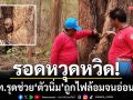 รอดหวุดหวิด! เจ้าหน้าที่ชุดดับไฟป่าช่วย \'ตัวนิ่ม\' ถูกไฟล้อมจนหอบอ่อนแรง