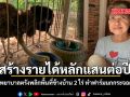 อดีตพยาบาลตรังพลิกพื้นที่ข้างบ้าน 2 ไร่ ทำฟาร์มนกกระจอกเทศ สร้างรายได้หลักแสนต่อปี