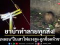 ยาบ้าทำลายทุกอย่าง! หนุ่มหลอนปีนเสาไฟฟ้าแรงสูง ถูกช็อตหัวขาดดับสยอง