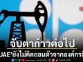 จับตาก้าวต่อไป ยูเออี ยังไม่คิดถอนตัวจากองค์กรอื่น ส่งสัญญาณทบทวนผลประโยชน์