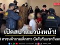 เปิดสปาแมวบังหน้า! บุกรวบ 3 ทรชนค้ากามเด็กสาว บังคับรับแขกวันละ 7 คน พบเงินหมุน 20 ล้านบาท