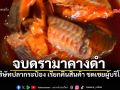 จบดรามา ปลากระป๋องคางดำ บริษัทชดเชยผู้บริโภค เรียกคืนสินค้าแล้ว