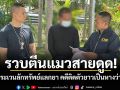 รวบตีนแมวสายดูด! ตระเวนลักทรัพย์แลกยา คดีติดตัวยาวเป็นหางว่าว