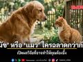 สุนัข หรือ แมว ใครฉลาดกว่ากัน เปิดผลวิจัยที่อาจทำให้คุณต้องอึ้ง