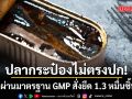 อย.บุกตรวจโรงงานปลากระป๋องไม่ตรงปก  พบไม่ผ่านมาตรฐาน GMP สั่งยึด 1.3 หมื่นชิ้นทันที