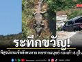 ระทึกขวัญ! จนท.ย้ายจระเข้ ผ่าพิสูจน์หลังสงสัยเกี่ยวข้องคนหาย พบซากมนุษย์-รองเท้า 6 คู่ในท้อง