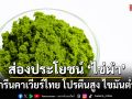 ส่องประโยชน์ \'ไข่ผำ\' กรีนคาเวียร์ไทย โปรตีนสูง ไขมันต่ำ