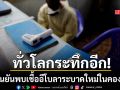 ทั่วโลกระทึกอีก ยืนยันพบเชื้อไวรัส อีโบลา ระบาดใหม่ในคองโก สังเวยแล้ว 65 ราย