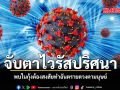 จับตาไวรัสปริศนา พบในกุ้งอาจข้ามสายพันธุ์ทำอันตรายดวงตามนุษย์