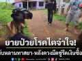 น้ำตาตกใน! ยายป่วยโรคไตจำใจแจ้งจับหลานทาสยา-ควงมีดขู่รีดเงินซื้อยาบ้า