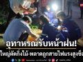 อุทาหรณ์รับหน้าฝน! หนุ่มใหญ่ตัดกิ่งไม้หน้าบ้าน-พลาดถูกสายไฟแรงสูงช็อตดับ