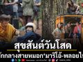 ทรูโฟร์ยู ช่อง 24 ชวนอิน สุขสันต์วันโสด เติมรักกลางสายหมอก เคมี มาริโอ้ พลอยไพลิน เข้ากันสุด
