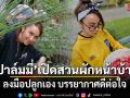 ปาล์มมี่ เปิดสวนผักหน้าบ้าน ลงมือปลูกเอง บรรยากาศดีต่อใจ