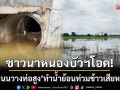 ชาวนาหนองบัวลำภูโอด! ทำถนนวางท่อสูง-ทำน้ำย้อนท่วมนาข้าวเสียหายยับ