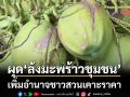 ผุด‘ล้งมะพร้าวชุมชน’ เพิ่มอำนาจชาวสวนเคาะราคา