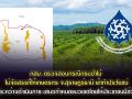 กสม.ตรวจสอบ \'ป่าสงวนฯ ป่าหมาก-ป่าพัง\' จ.สุราษฎร์ธานี ยังไม่พบการละเมิดสิทธิ์
