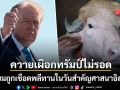 นับถอยหลัง ควายเผือก ทรัมป์ เตรียมถูกเชือดพลีทานในวันสำคัญ คนแห่ดูเป็นครั้งสุดท้าย