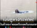 เอ็นดูหรือระทึกดี! ‘ตัวเงินตัวทอง’ พลอดรักกอดกันกลมกลางน้ำที่วิเศษชัยชาญ