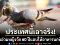 ประเทศนี้เอาจริง! ปรับอ่วมหญิงวัย 60 แอบให้อาหารนกพิราบ เผยข้ออ้างแสนใจบุญแต่ฟังไม่ขึ้น