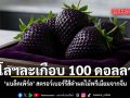 กิโลฯละเกือบ 100 ดอลลาร์ แบล็คเพิร์ล สตรอว์เบอร์รีสีดำผลไม้พรีเมียมจากจีน