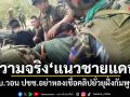 ความจริงแนวชายแดน! ทบ.วอน ปชช.อย่าหลงเชื่อคลิปยั่วยุฝั่งกัมพูชา