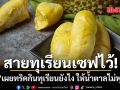 สายทุเรียนเซฟไว้! หมอเผยทริคกินทุเรียนยังไง ให้น้ำตาลไม่พุ่งปรี๊ด