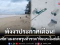 พังงาประกาศเตือน! มรสุมซัด \'แมงกะพรุนหัวขวด\' พิษร้ายแรงโผล่เต็มชายหาด