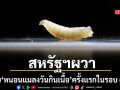 สหรัฐผวา ยืนยันพบ หนอนแมลงวันเจาะเนื้อ ในลูกวัว ครั้งแรกในรอบ 60 ปี