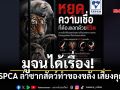มูจนได้เรื่อง! ล่าซากสัตว์ทำของขลัง TSPCA เตือนนอกจากบาป เสี่ยงคุกทางอาญา