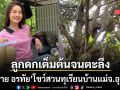 คอมเมนต์สนั่น ต่าย อรทัย อวดภาพสวนทุเรียนที่บ้านจ.อุบล ออกลูกดกเต็มต้นจนตะลึง