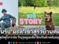 ยินดีต้อนรับ มะลิ เข้าสู่รั้วบ้านทหารการสัตว์ สุนัขคู่ใจ จ่ามิน วีรบุรุษภูมะเขือ ฝึกปรับตัวระดับอนุบาล