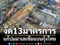 งัด13มาตรการ แก้ปมมาเลเซียแบนกุ้งไทย