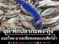 ชงแผนยุติ‘ศึกปลากะพง-กุ้ง’ แนะไทย-มาเลเซียชะลอแบนสัตว์น้ำ