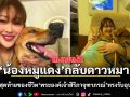 น้องหมูแดง หน้าร้านสะดวกซื้อ ที่พระองค์เจ้าสิริภาจุฑาภรณ์ ทรงอุปการะ จากไปกระทันหัน