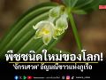 พืชชนิดใหม่ของโลก! \'จักรเศวต\' อัญมณีขาวแห่งภูเรือ หลักฐานความสมบูรณ์บนผืนป่าเมืองเลย