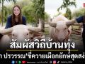 เอวา ปรวรรณ ขี่ควายเผือกยักษ์สุดสง่างาม สัมผัสวิถีบ้านทุ่งแบบใกล้ชิด