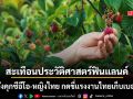 คดีสะเทือนประวัติศาสตร์ฟินแลนด์ ศาลสั่งคุกซีอีโอ-สาวไทย กดขี่แรงงานไทยเก็บเบอร์รีป่า