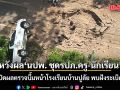 EOD เปิดผลตรวจบึ้มหน้าโรงเรียนบ้านปูลัย พบฝังระเบิด 80 กก.จุดชนวนสายไฟ หวังผล นปพ. ชุดรปภ.ครู-นักเรียน