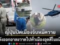 หมีควายเอเชียสิ้นฤทธิ์ ญี่ปุ่นยิงยาสลบตะครุบตัวปล่อยป่า หลังอาละวาดทั่วเมืองอุตสึโนะมิยะ