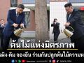 ต้นไม้แห่งมิตรภาพ สี จิ้นผิง-คิม จองอึน ร่วมกันปลูกต้นไม้ความหมายดี สัญลักษณ์สัมพันธ์ยั่งยืน