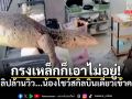 เจ้าของบ้านเข่าแทบทรุด ข้าวของพังนึกว่าโดนงัด อ้าว! นี่มันสไปเดอร์แมนเวอร์ชั่นมีหาง