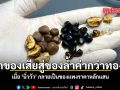 จากของเสียสู่ของล้ำค่ากว่าทองคำ เมื่อ นิ่ววัว กลายเป็นของแพงราคาหลักแสน