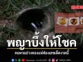พญาบึ้งให้โชค คอหวยอ่างทองแห่ส่องเลขเด็ดงวดนี้