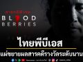 ไทยพีบีเอส ร่วมตีแผ่ขยายผลสารคดีรางวัลระดับนานาชาติ Blood Berries