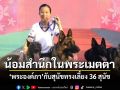 น้อมสำนึกในพระเมตตา พระองค์ภา กับสุนัขทรงเลี้ยง 36 สุนัข